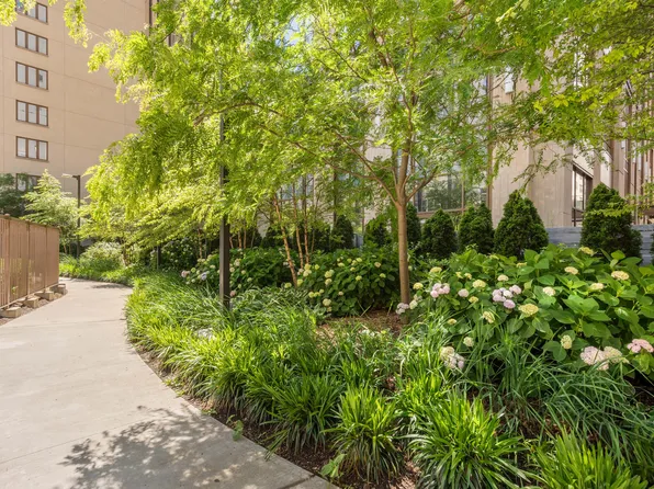 215 East 19th Street image 5 of 17