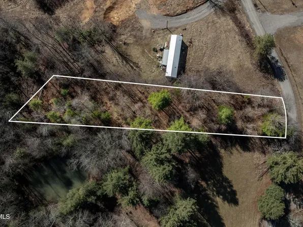 828 Red Brush Rd, Mountain City, TN 37683