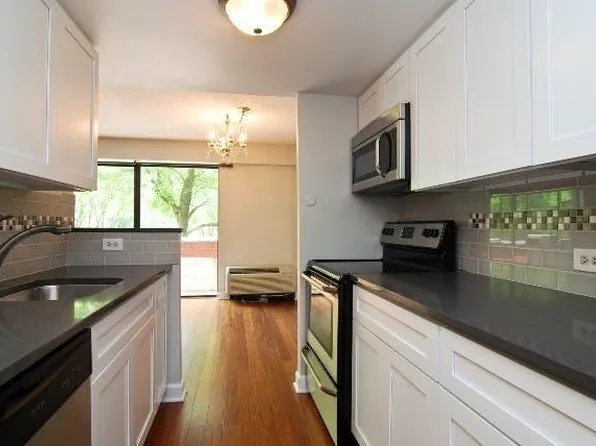 1115 S Plymouth Ct, Chicago, IL 60605