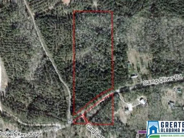 9835 Camp Oliver Rd, Adger, AL 35006