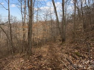 99999 Haynes Cv, Clyde, NC 28721