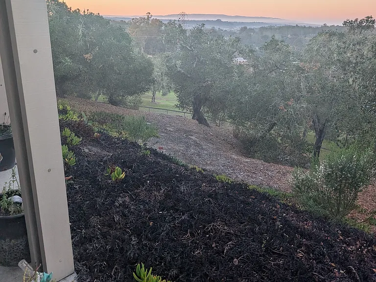 View off the deck