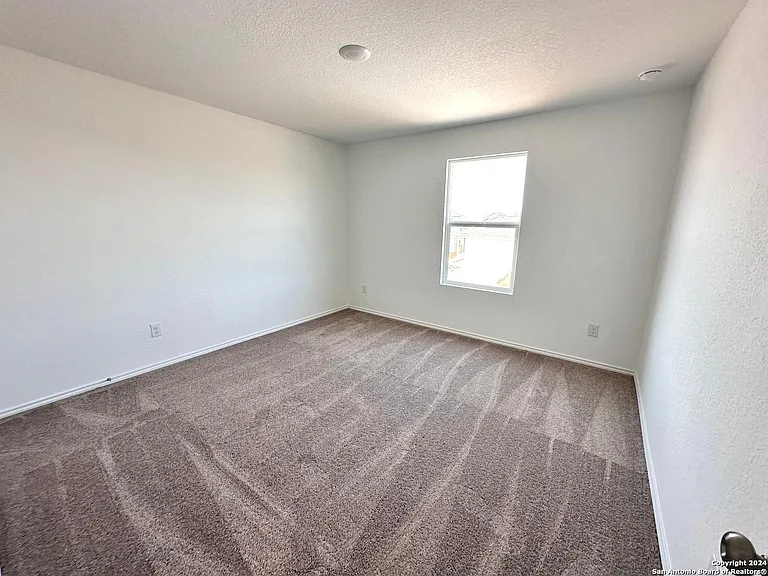 9263 Honey Mesquite — Photo 12