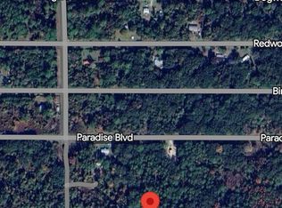 312 Laisy Dr, Georgetown, FL 32139