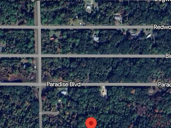 312 Laisy Dr, Georgetown, FL 32139