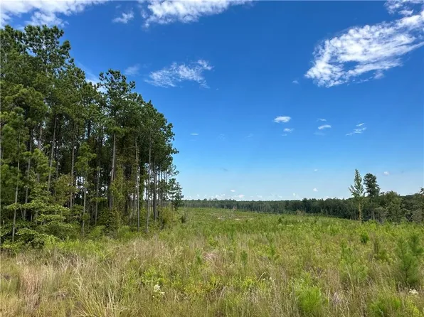 25 Rolling Ridge Rd, Seale, AL 36875