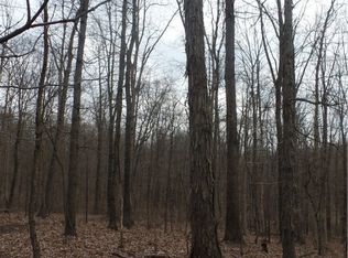 0 Don Wiley Rd LOT 2, Caldwell, OH 43724