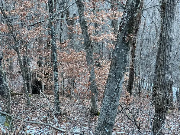 0 Weaver Ln #182, Mars Hill, NC 28754
