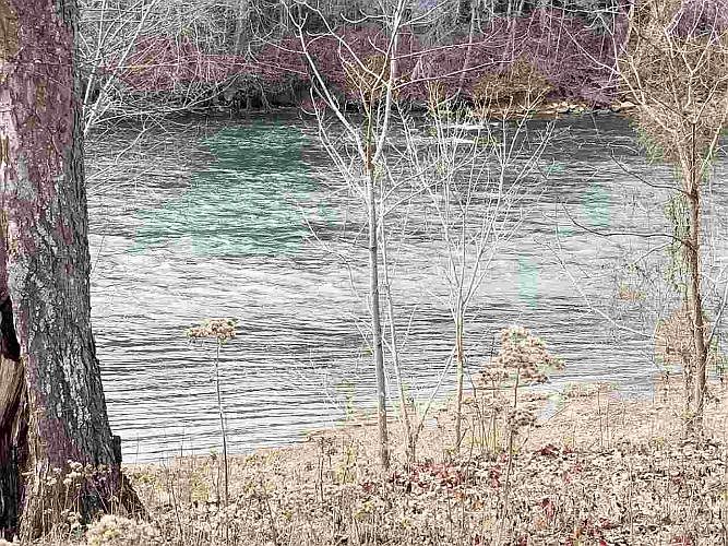 1st image of 1965 River Mist Cir