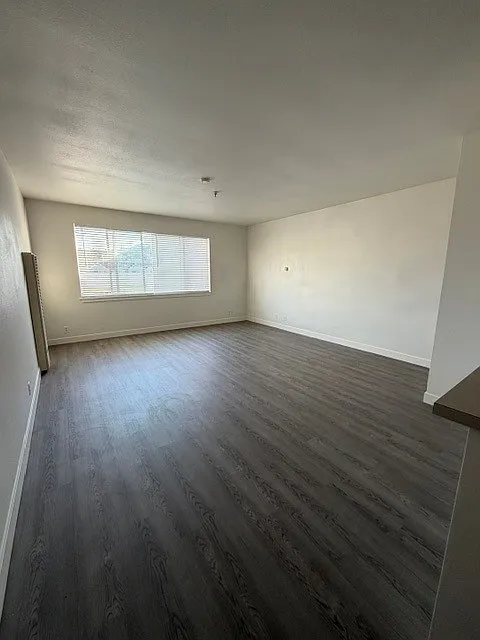 Studio, 431 sqft, $1,995 — Photo 1