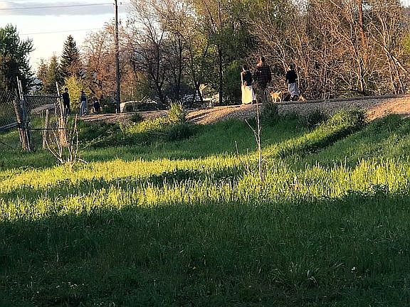 View of Weiser River Trail 