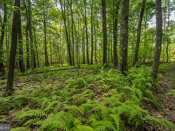 2nd image of Quentin Ln Lot 5