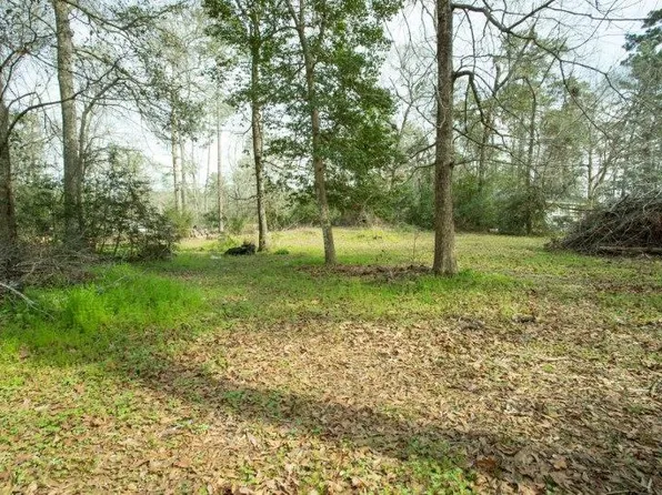 15050 Cardinal Trl Lot 141, Conroe, TX 77302