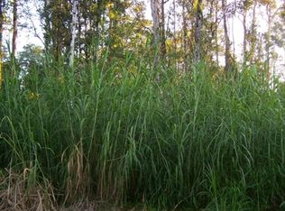 36th Ave LOT 43, Kurtistown, HI 96760