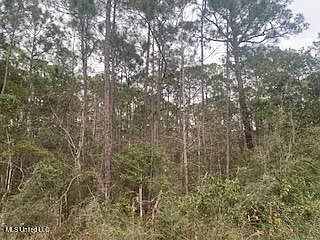 2nd image of Azalea Ln