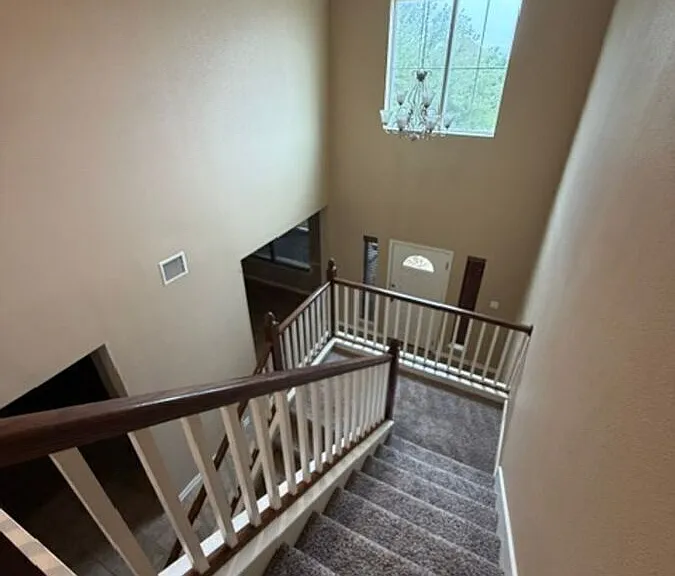 3014 Bent Tree Dr — Photo 18