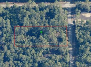 9156 N Cavewood Ave, Crystal River, FL 34428