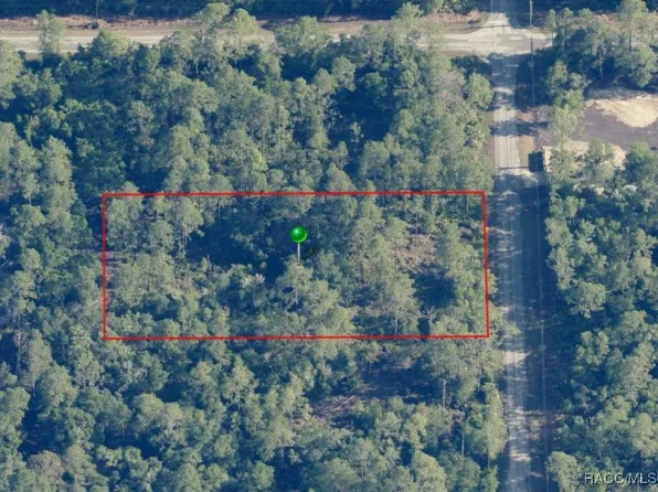 9156 N Cavewood Ave, Crystal River, FL 34428