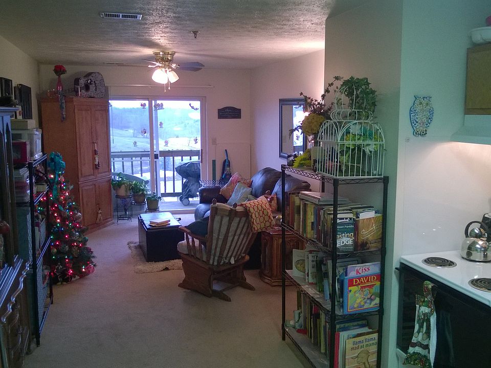 Kitchen/Living area with view out back