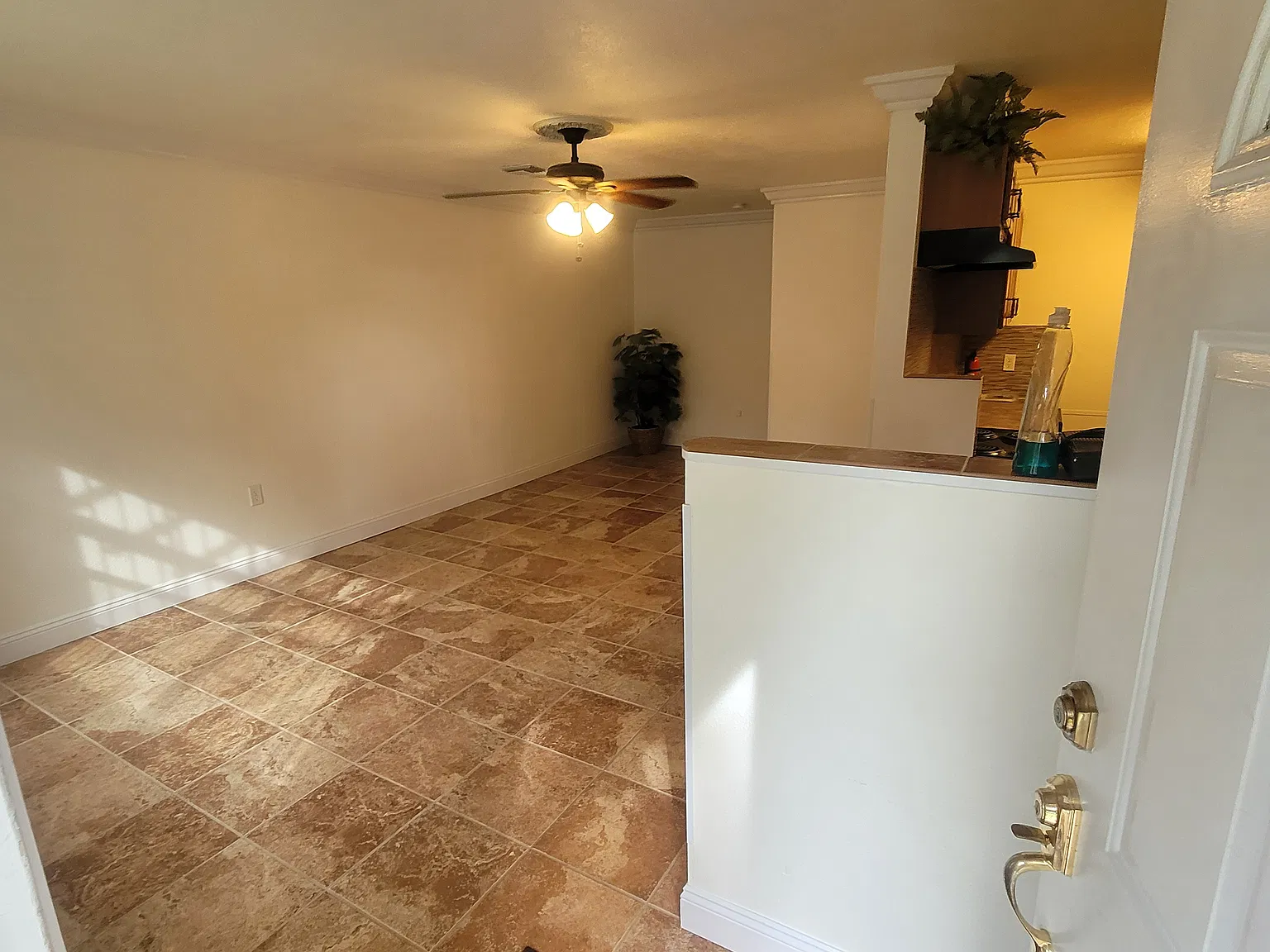 1 bed, 900 sqft, $1,350 — Photo 3