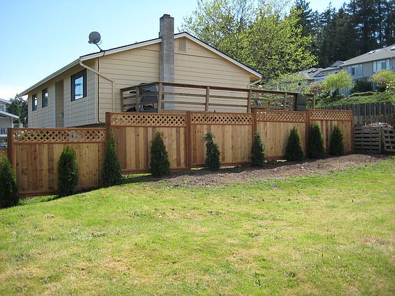 Backyard view