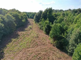 115 County Road 1039, Cunningham, KY 42035