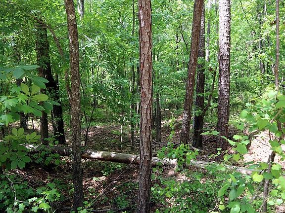 3rd image of 77 Cherokee Rd NE