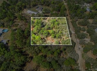 468 E Nicholas St, Hernando, FL 34442