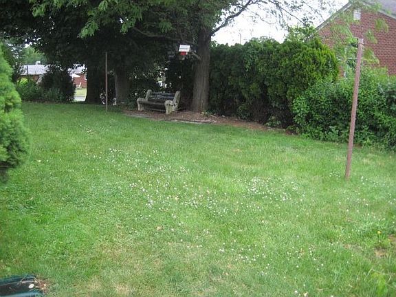 Yard and park bench