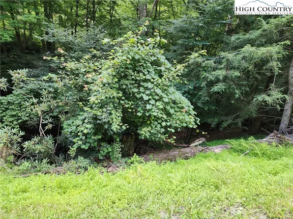 TBD Buckeye Creek Road, Beech Mountain, NC 28604