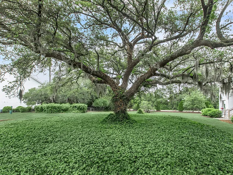 Arbor Trace — Photo 14