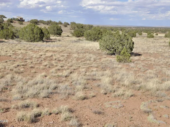 10 N9228, Concho, AZ 85924