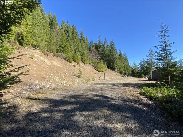 0 Cheyee Road, Cougar, WA 98616