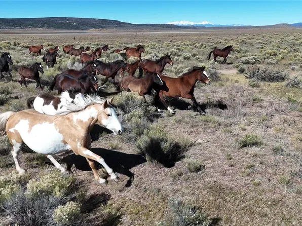 444 W Valley Dr, San Luis, CO 81152