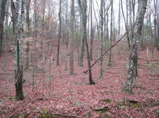 0 Lucius Ln, Cherry Log, GA 30522