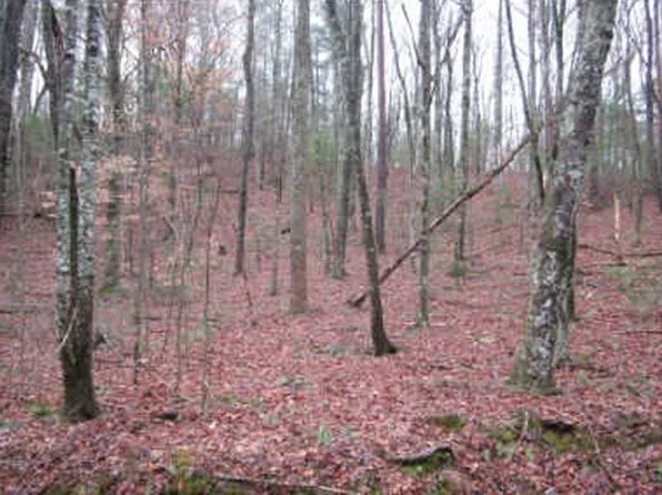 0 Lucius Ln, Cherry Log, GA 30522