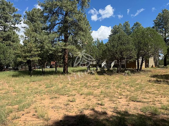5th image of 2974 Wapiti Dr