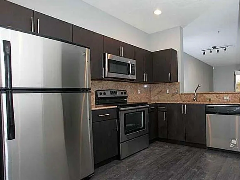 3890 Tree Top Dr — Photo 4