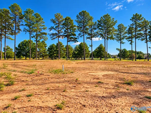 24424 Carnoustie Dr, Athens, AL 35613