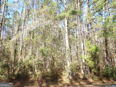 V/l Tr3 Inez Brown Est, Kingsland, GA, 31548