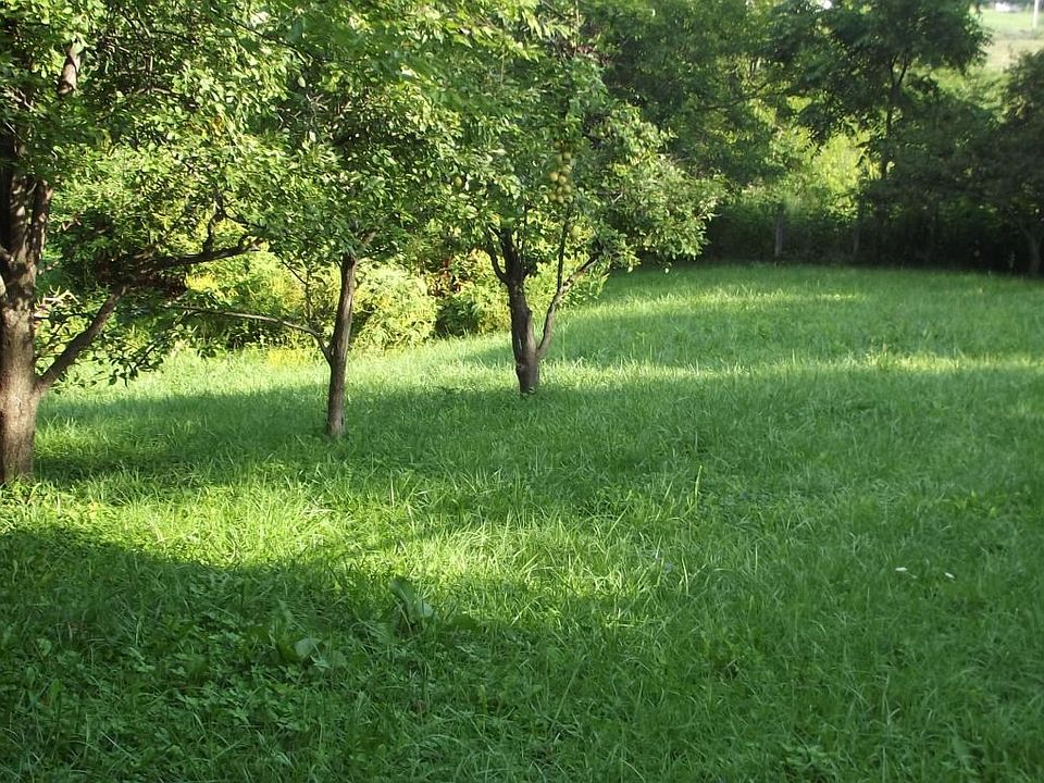 DSCF4661