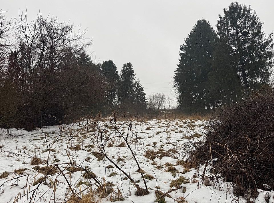 2nd image of 1114 Countyline Rd