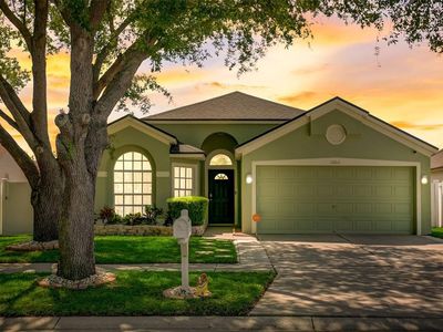 13611 Staghorn Rd, Tampa, FL, 33626