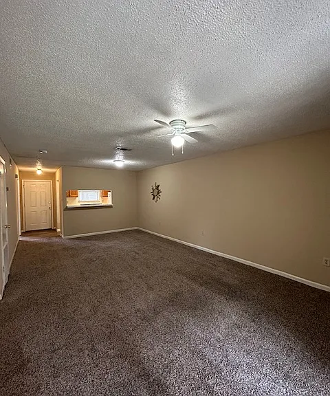 1806 S Brightside View Dr — Photo 16
