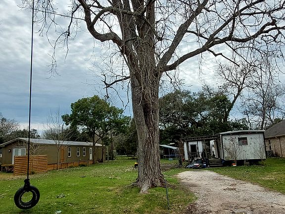 Large tree and yard