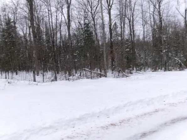 0000 Irish rd, Exeland, WI 54835