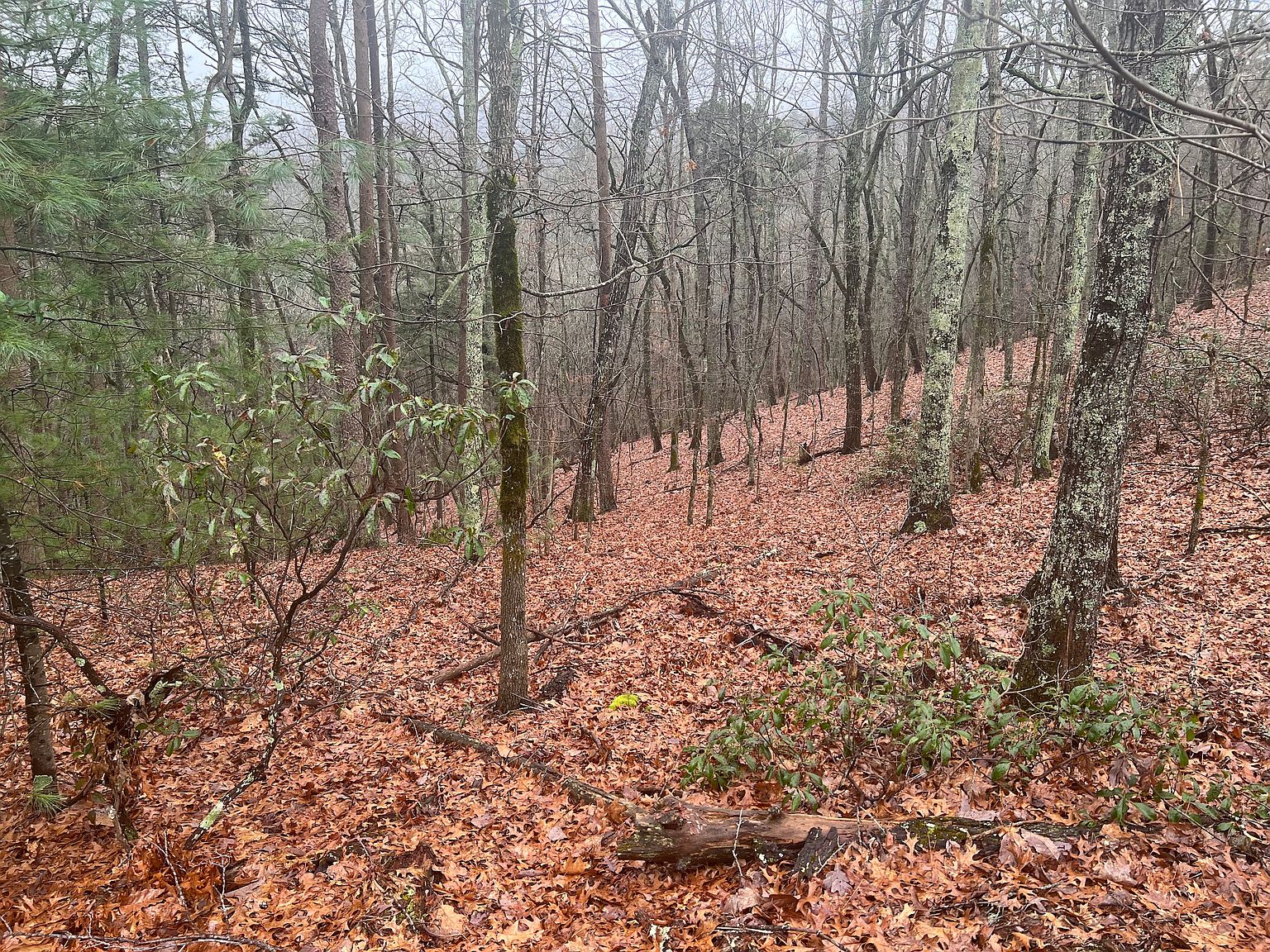 5011 Pine Ridge Dr LOT 66, Connelly Springs, NC 28612 Zillow