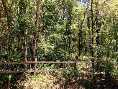 6851 Bedford Lake Rd, Keystone Heights, FL, 32656