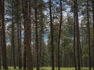 Nhn Dancing Bear Trail Tract #2, Bigfork, MT 59911