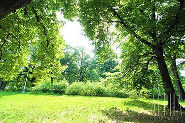 Rented by Alpha Properties NYC I LLC